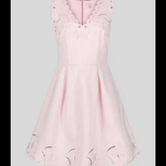 Ted Baker Emalise Pink V-neck Embroidered Skater Dress TB Size 2 - Picture 13 of 14